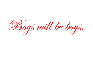 Boys will be boys. (idiom)